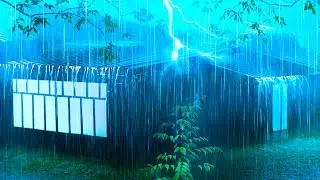 Heavy Rainstorm on a Cabin's Tin Roof with Rolling Thunder in the Forest to Sleep Immediately