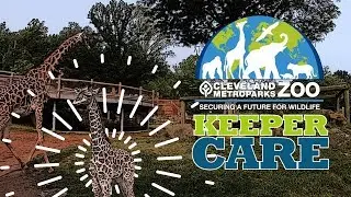 Keeper Care - Giraffe