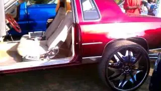 Boykin Mayday 2011.......Nice!!!!!!!