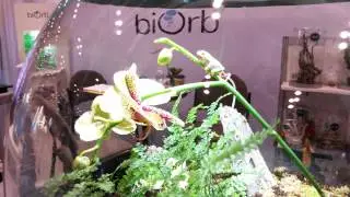 Global Pet Expo 2014