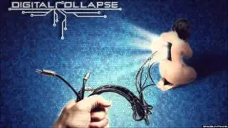 Digital Collapse  - Reclaiming