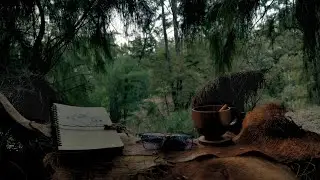 Enjoy a Rich Coffee Cup with a Forest View, Working with Natural Winds and Bird Sounds 12&deg;C / 53&deg;F