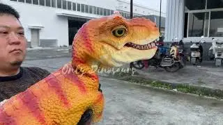Lifelike Baby Tyrannosaurus Rex Hand Puppet