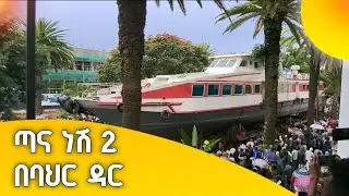 ጣና ነሽ ፪ በ ባህርዳር🌴🌴🌴🌴🌴🌴🌴🌴🌴🌴🌴🌴👉 @papaVlogsofficialTana Nesh 2 in Bahir Dar 🌴🌴🌴🌴🌴🌴