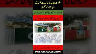 SUMMER VACATIONS 2025 NOTIFICATION GOVT OF PUNJAB