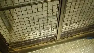 Dover Hydraulic Freight elevator @ Love Building GA Tech Atlanta GA