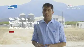 Proyecto integral Kutulas Elanco