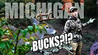 Мичиган BBD! Охота с луком на общественных землях