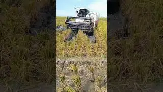 Shorts #short #combine bimo 102 #automobile #farming #traktorsawah #petani modren