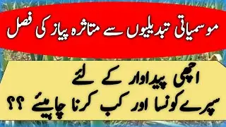 Seasonal pressure on onion crop || agricultural top secrets