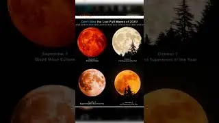 lunar highlights 2025 🌌 #lunar #lunarhighlghts #space