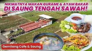 REKOMENDASI TEMPAT MAKAN DI TEGAL ! OLAHAN IKAN GURAME, AYAM BAKAR, SATE & TONGSENG KAMBING, MEWAH
