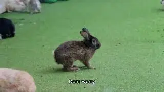 #funny #ai #respectshorts #beauty Narrator (cheerful, friendly tone):