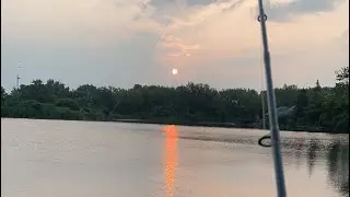 Friendly Neighborhood Fishing in Buffalo NY pt.7 🔥🎣