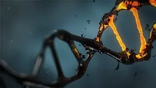 ADN - La molécula de la vida