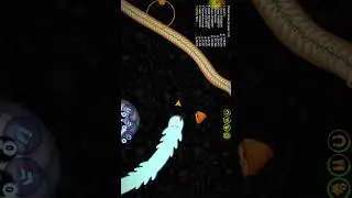 Worms Zone io, best trolling world record, slither io gameplay, snake Worm #shorts
