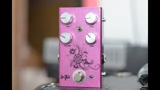 Review Pedal Zen Effects (Baseado no Ampli Dumble)