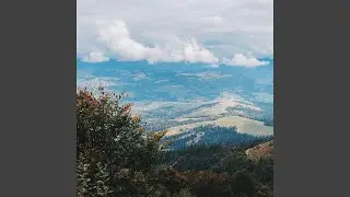 heart held