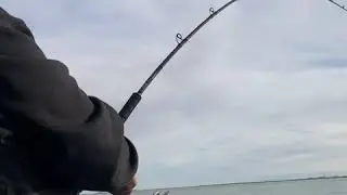 Sturgeon Fishing CA Delta