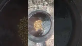 Rice+Drinking Water #music #cooking #kitchen #bibleverse #recipe #remix #reaction #funny #minivlog 