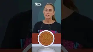 Reforma electoral en debate