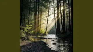 A Gentle Meander (Improvisation XLII)