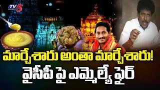 TDP MLA MS Raju Strong Comments | CM Chandrababu | YSRCP | YS Jagan | AP News | TTD | TV5 News