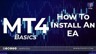 MT4 Basics How to Install an EA