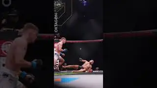 DVOŘ&Aacute;K IS BACK. 💥💥💥