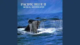 Pacific Sun