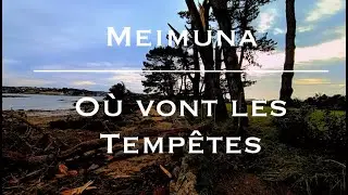 Meimuna - Où vont les Tempêtes (cover)