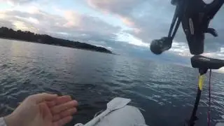 Firth of Forth Mackerel fishing