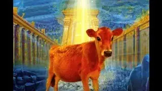Moshiach Reveals the Meaning Behind the Chok of the Red Heifer