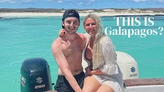 Is swimming with SEA LIONS safe?! San Cristobal, Galapagos Islands, Ecuador