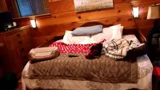 Cabin at tahoe