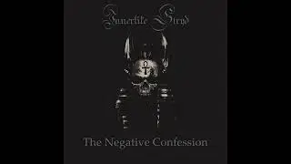 Innerlike Stryd - The Negative Confession