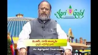 Agrigold Chairman V R RAO AVVAS Message