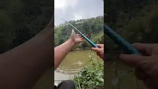 &ldquo;Countryside Fishing Vlog One Peaceful Day Fishing in a Remote Village&rdquo;
