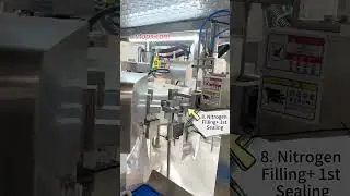 The Powder Packing Machine Line+Check Weigher