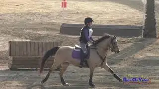 131XC Natalie Barton on Foxy Lady JR Beginner Novice Cross Country FCHP November 2018