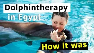 Dolphintherapy in Egypt. Video review