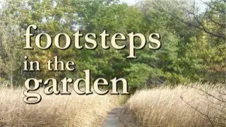 footsteps in the garden (poem by Bob MacKenzie)