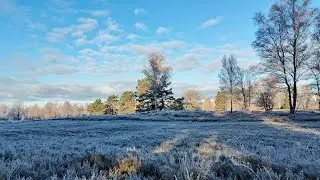 🇩🇪 Behringer Heide - kurze Rundwanderung - Deutschland