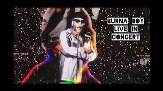 Burna Boy Live Concert |Love Damini Tour | Orlando, FL 12/9/22 #burnaboy #afrobeat