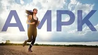 Boosting AMPK: Another reason to have Bioenergy Ribose in your line up