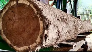 🌲КУПЛЕНО ЗА СОТНИ МИЛЛИОНОВ! Оказывается, вот что внутри (на лесопилке)🌲
