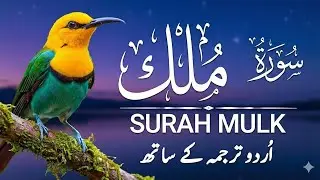 Surah Al-Mulk سورة الملك | Heart-Calming Recitation for Protection, Peace & Night | #surahmulk