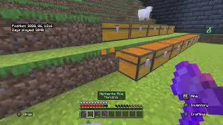 Satisfying Minecraft Survival World Progression