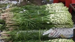 Ghazipur Flower Market showcases a large collection of Marigold and Rajnigandha Flowers: New Delhi