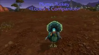 Plump Turkey (Roasted in Campfire)